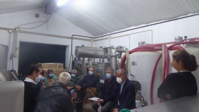 AFAVEL CONSULTORIA 2021 ADERSOUSA