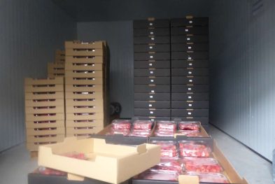 Divulgar Bio_2021 _adersousa 12