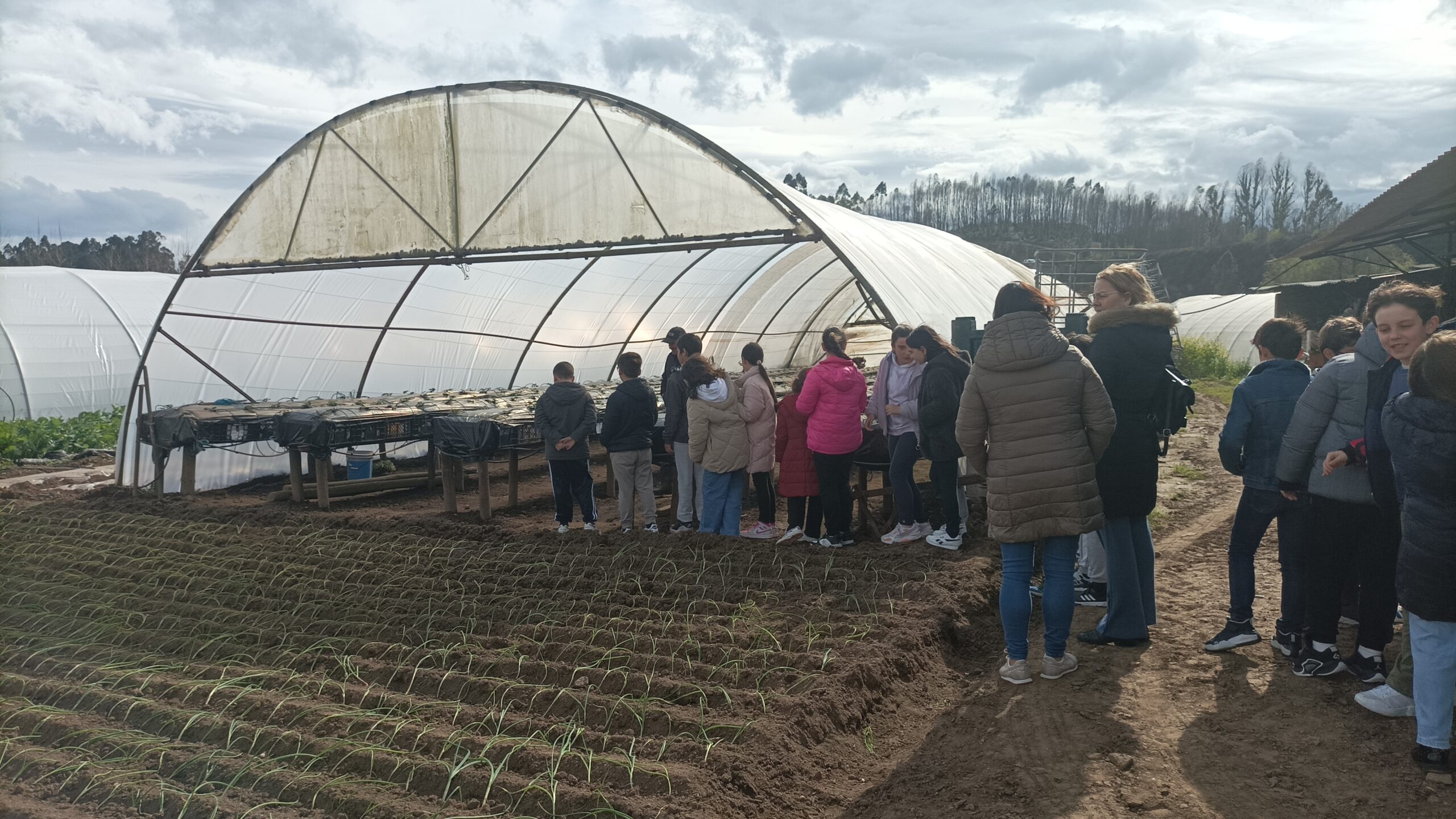 PNAES TS_um dia no campo
