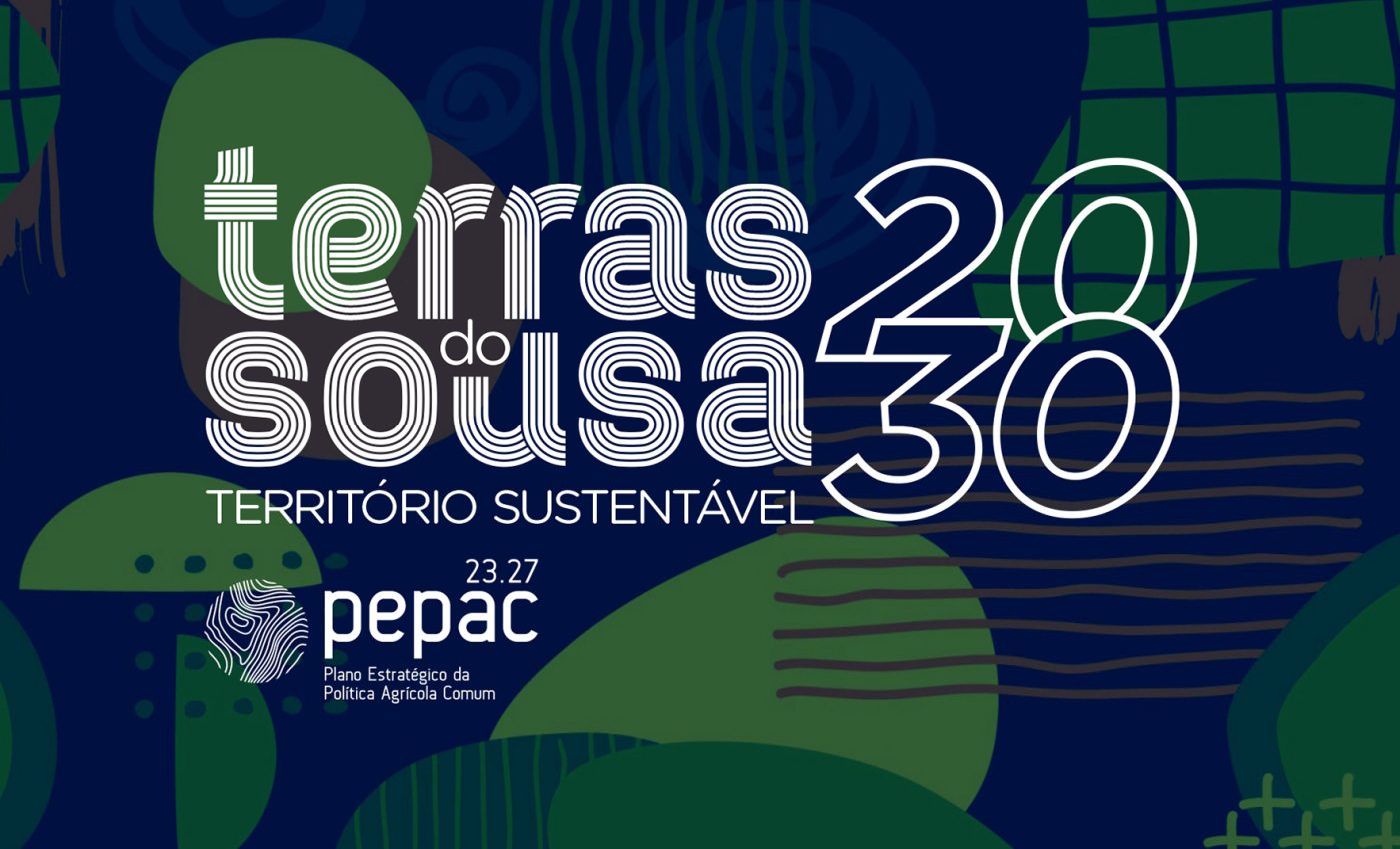 Ader-Sousa_Terras do Sousa 2030
