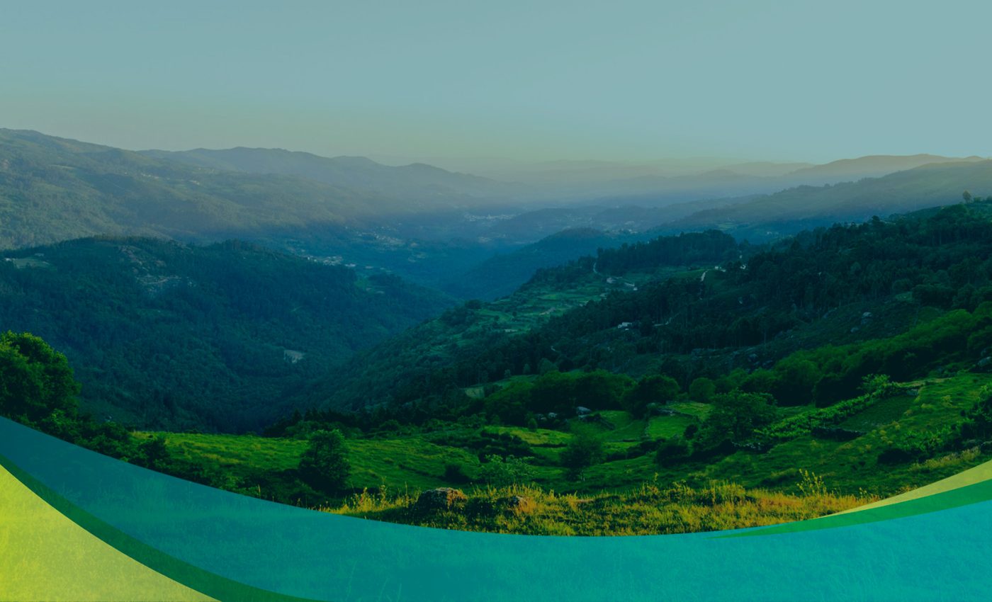 Emer-N_Ader-Sousa_Banner_Novo