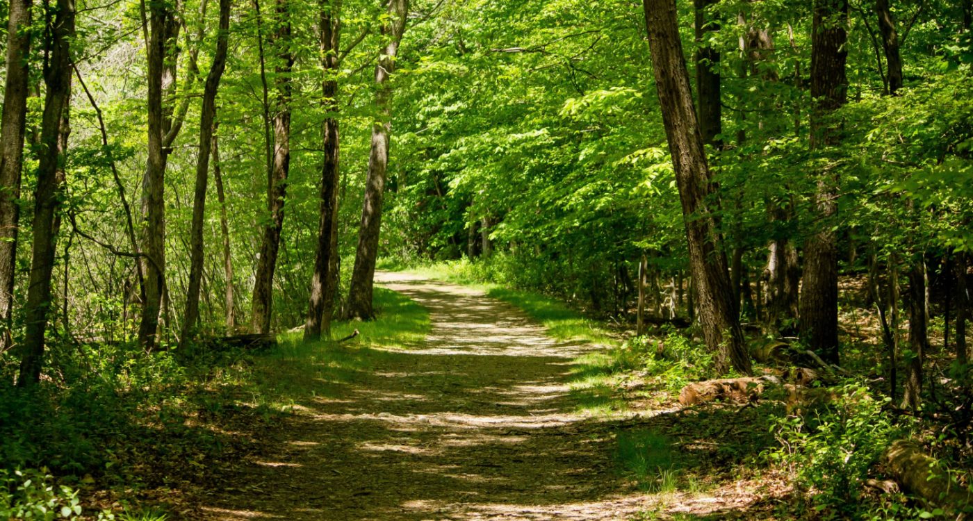 Floresta