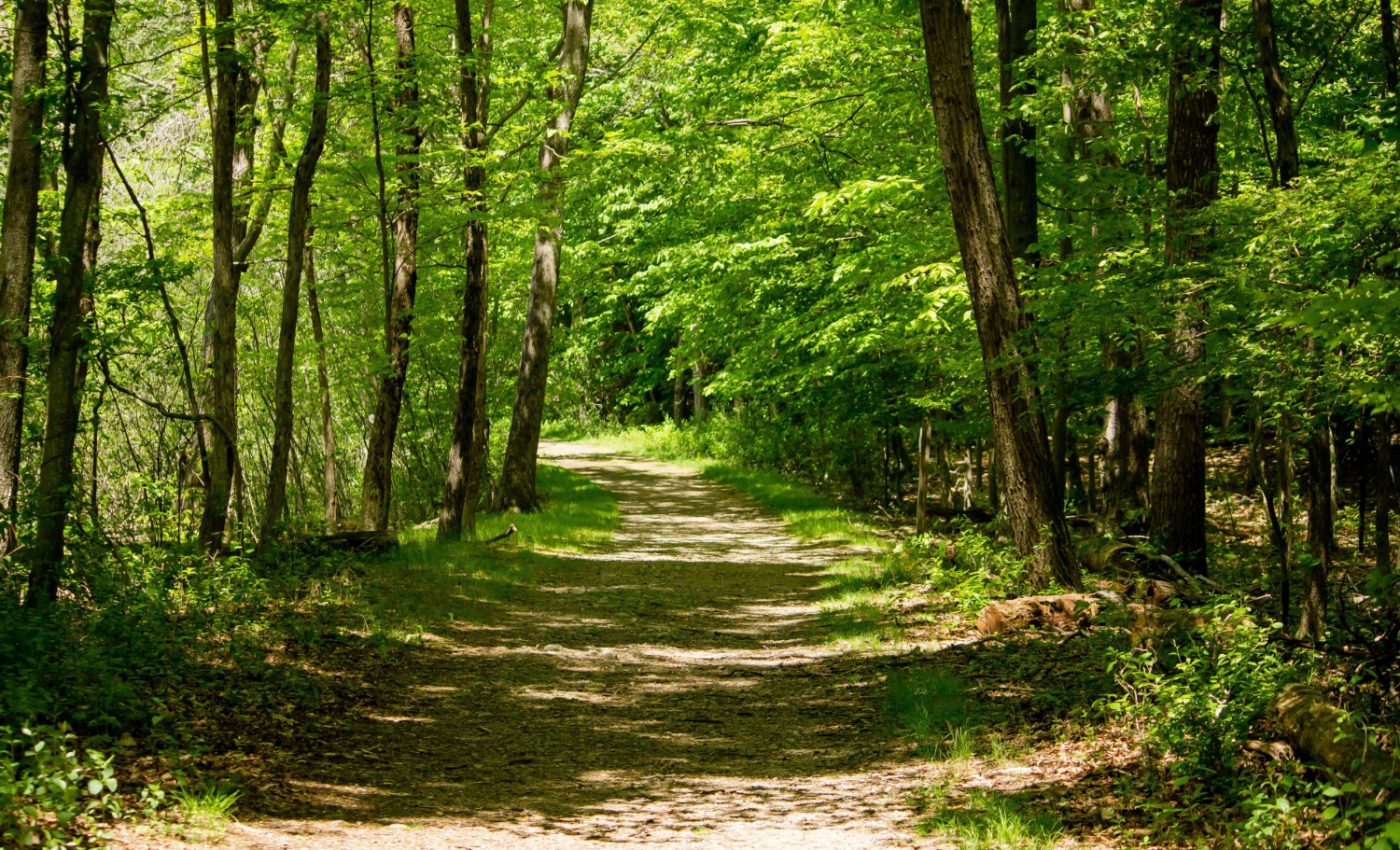 Floresta