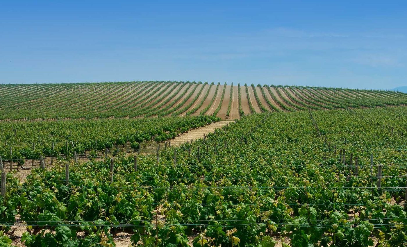 La-Rioja
