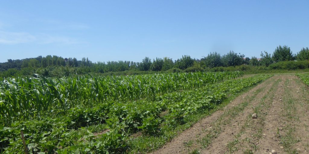 P1040381