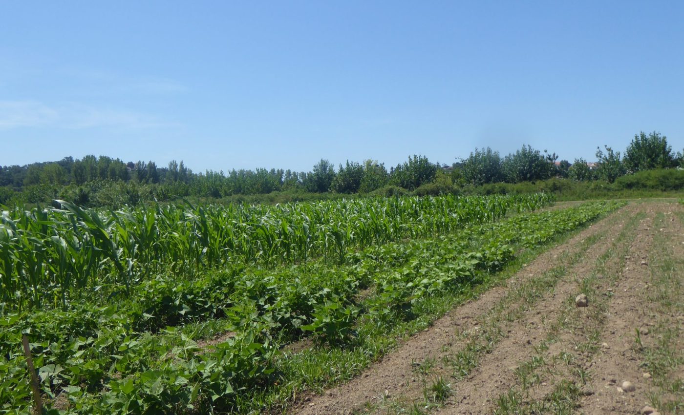P1040381