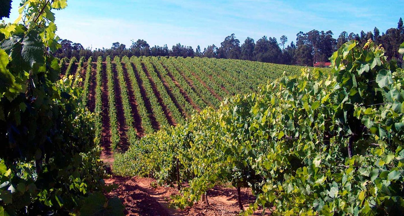 Agricultura e Agroalimentares
