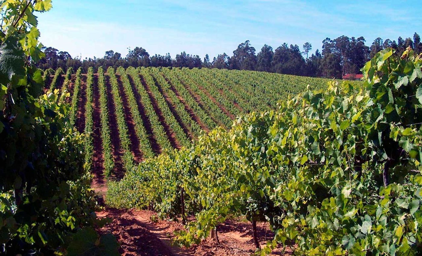 Agricultura e Agroalimentares