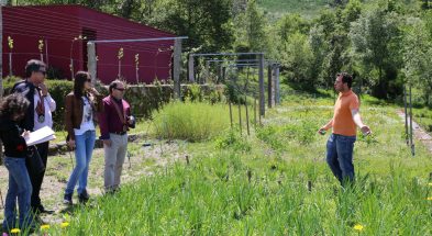 CNV 2018 adersousag2