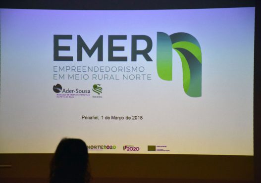 Apresentacao-EMER-N_ader-sousa_galeria2