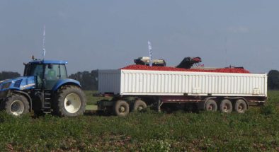 AGROGLOBAL 2018 ADERSOUSA.G8