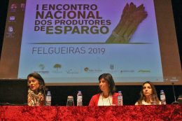 Encontro Espargos 13