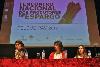 Encontro Espargos 13