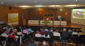 vespavelutina 2019 ADERSOUSA.3