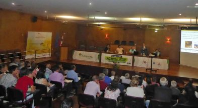 vespavelutina 2019- ADERSOUSA.4