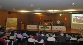 vespavelutina 2019 ADERSOUSA5