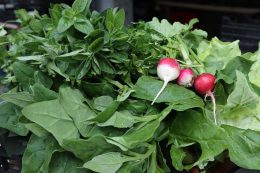 Cabaz-Prove-Vale-do-Sousa_Visita-Ministra-Agricultura_Adersousa-1