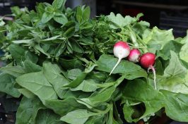 Cabaz-Prove-Vale-do-Sousa_Visita-Ministra-Agricultura_Adersousa-1