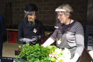 Cabaz-Prove-Vale-do-Sousa_Visita-Ministra-Agricultura_Adersousa-2