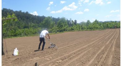 ENSAIOS MILHO 2020 ADERSOUSA (2)