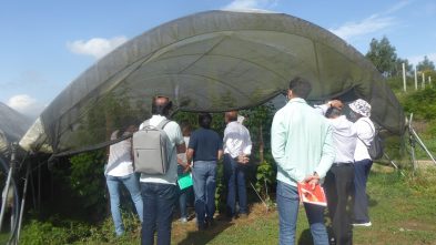 2106116_CONS AFAVEL F&H_01