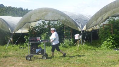 2106116_CONS AFAVEL F&H_06