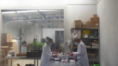 2106116_CONS AFAVEL F&H_09