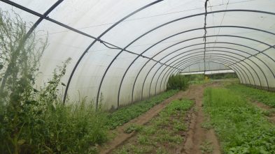 2106116_CONS AFAVEL F&H_13