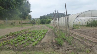 2106116_CONS AFAVEL F&H_18