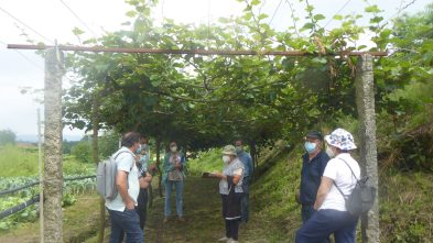 2106116_CONS AFAVEL F&H_22