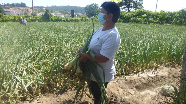 concurso melhor campo -2021 adersousa