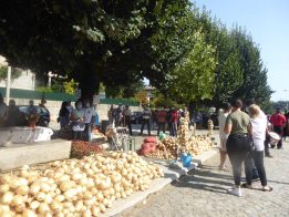 feira s.bartolomeu 2021 ADERSOUSA 14