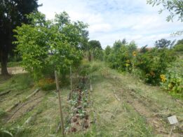 Bio região tamega e sousa_ visita ESAC + Arouca agricola _2022. 12