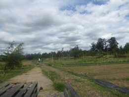 Bio região tamega e sousa_ visita ESAC + Arouca agricola _2022.8.