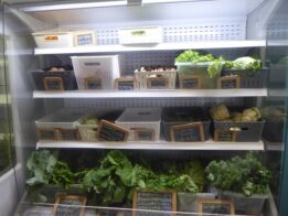 Bio região tamega e sousa_ visita ESAC + Arouca agricola _2022.AA