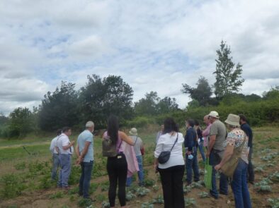 Bio região tamega e sousa_ visita ESAC + Arouca agricola _2022.D.ROSA.2jpg