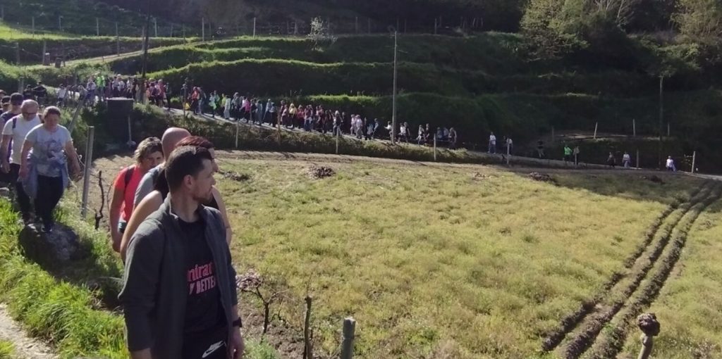 20250406_levadas de jugueiros1