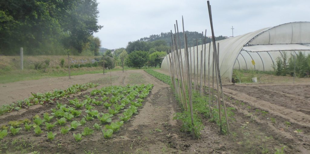 2106116_CONS AFAVEL F&H_18