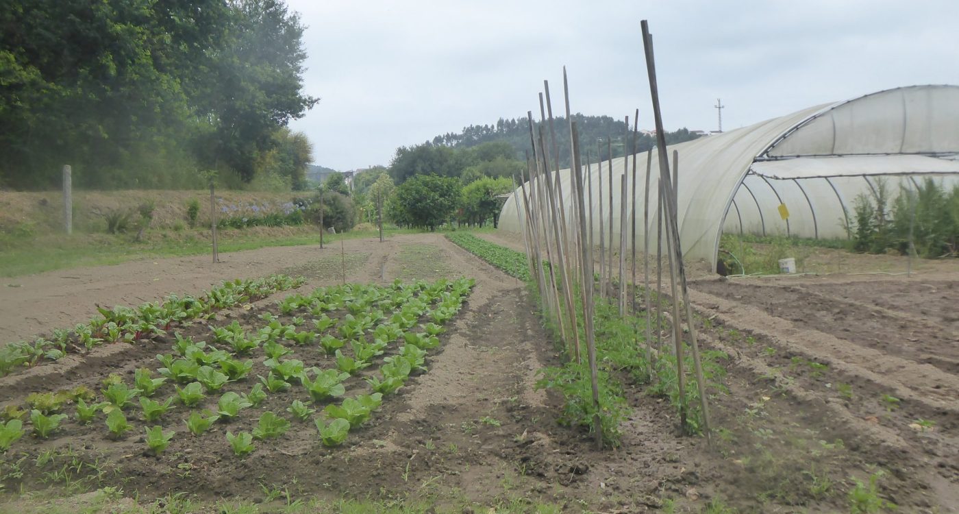 2106116_CONS AFAVEL F&H_18