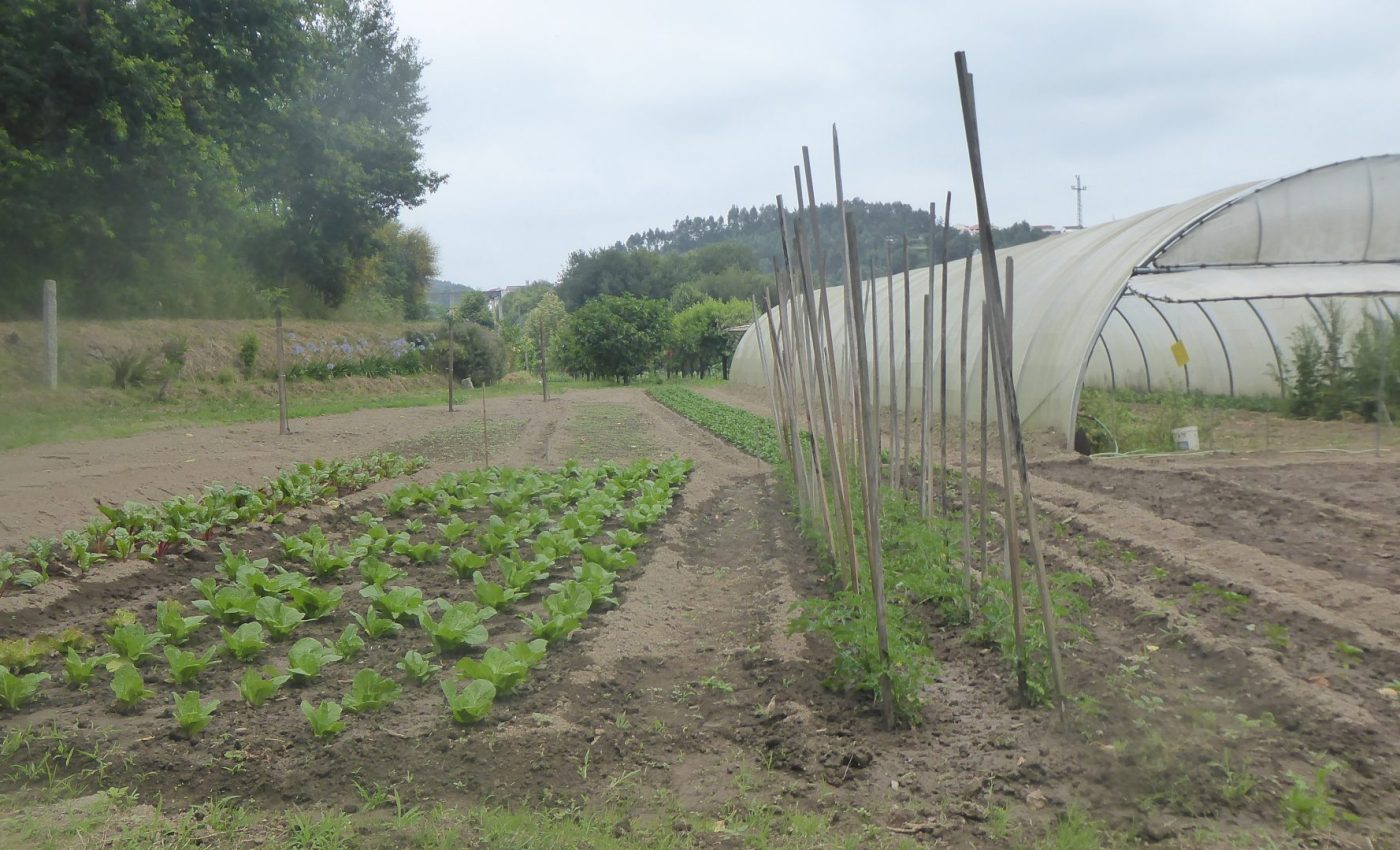 2106116_CONS AFAVEL F&H_18