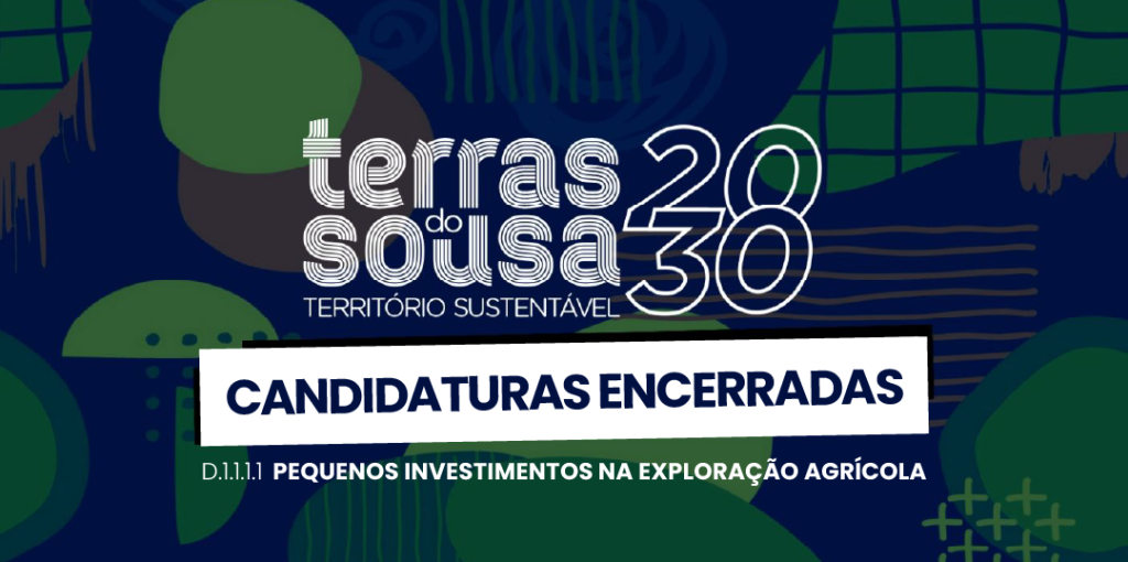 ADER-SOUSA_Capa_Website_Not_03.02