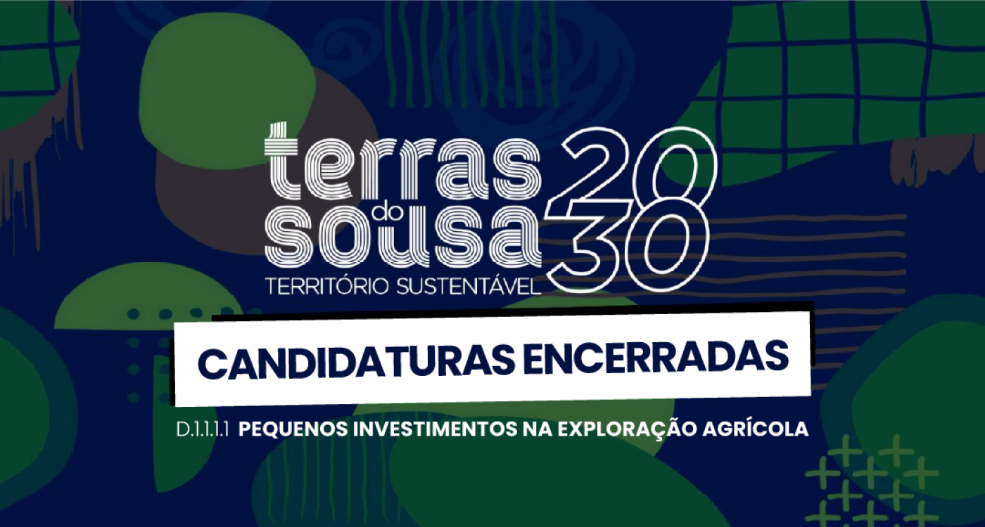 ADER-SOUSA_Capa_Website_Not_03.02