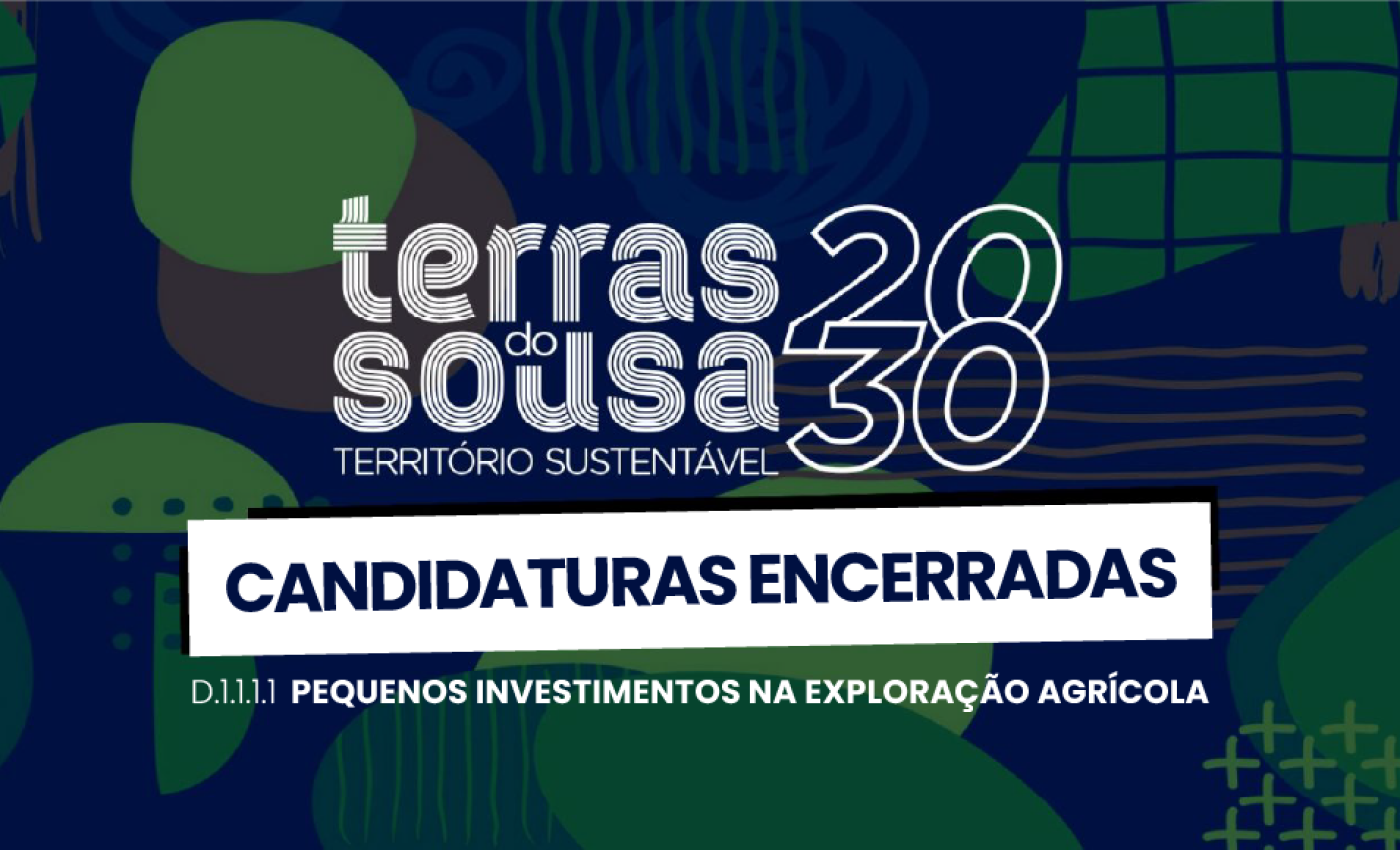 ADER-SOUSA_Capa_Website_Not_03.02