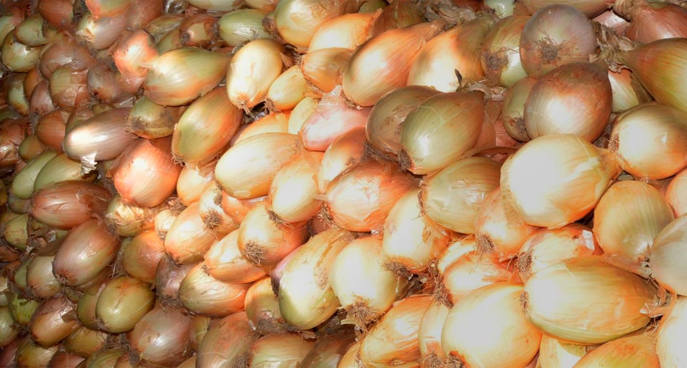 Ader-Sousa-Cebola-Garrafal