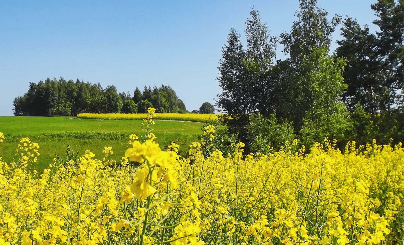 Ader-Sousa-Terras-do-Sousa