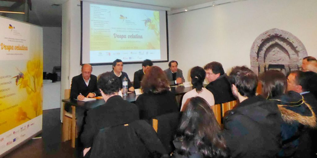 Ader-Sousa-Vespa-Velutina