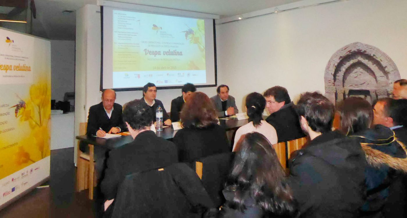 Ader-Sousa-Vespa-Velutina