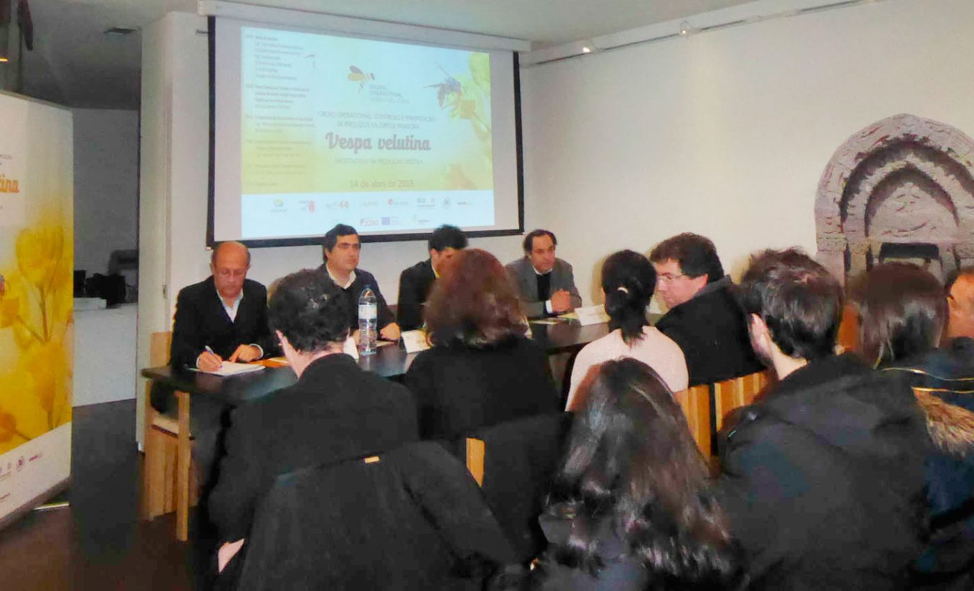 Ader-Sousa-Vespa-Velutina