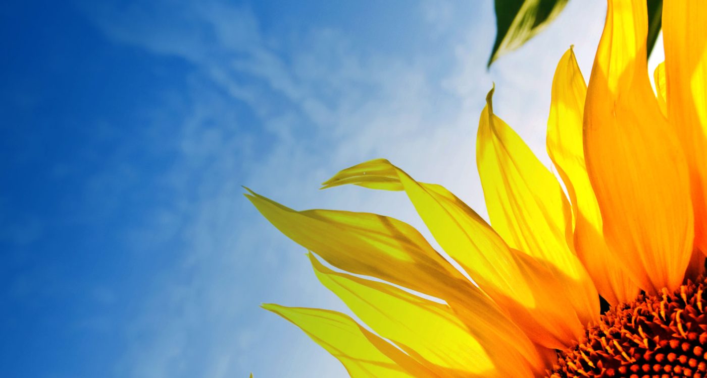 Ader-Sousa_Candidaturas-Abertas_PDR2020