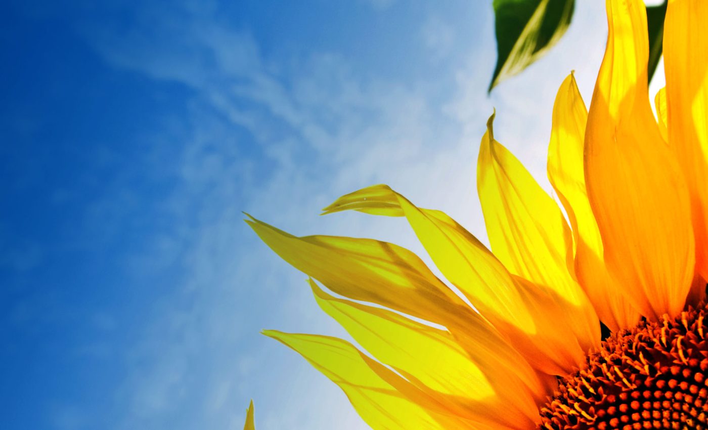 Ader-Sousa_Candidaturas-Abertas_PDR2020